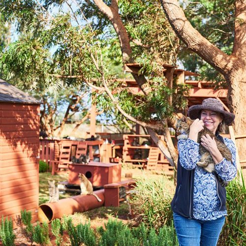 Founder Kathy Carroll holding a cat at Lanai Cat Sanctuary, as identified on the official Our Story page.