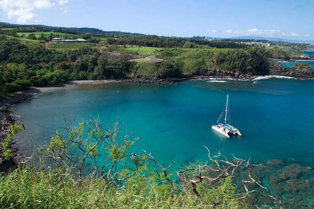 Honolua Bay — source photograph