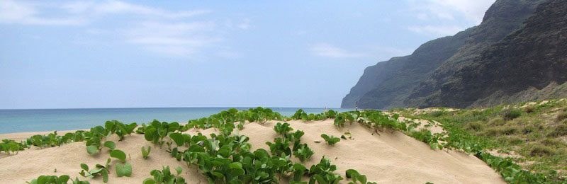 Polihale Beach and dunes, Kauaʻi