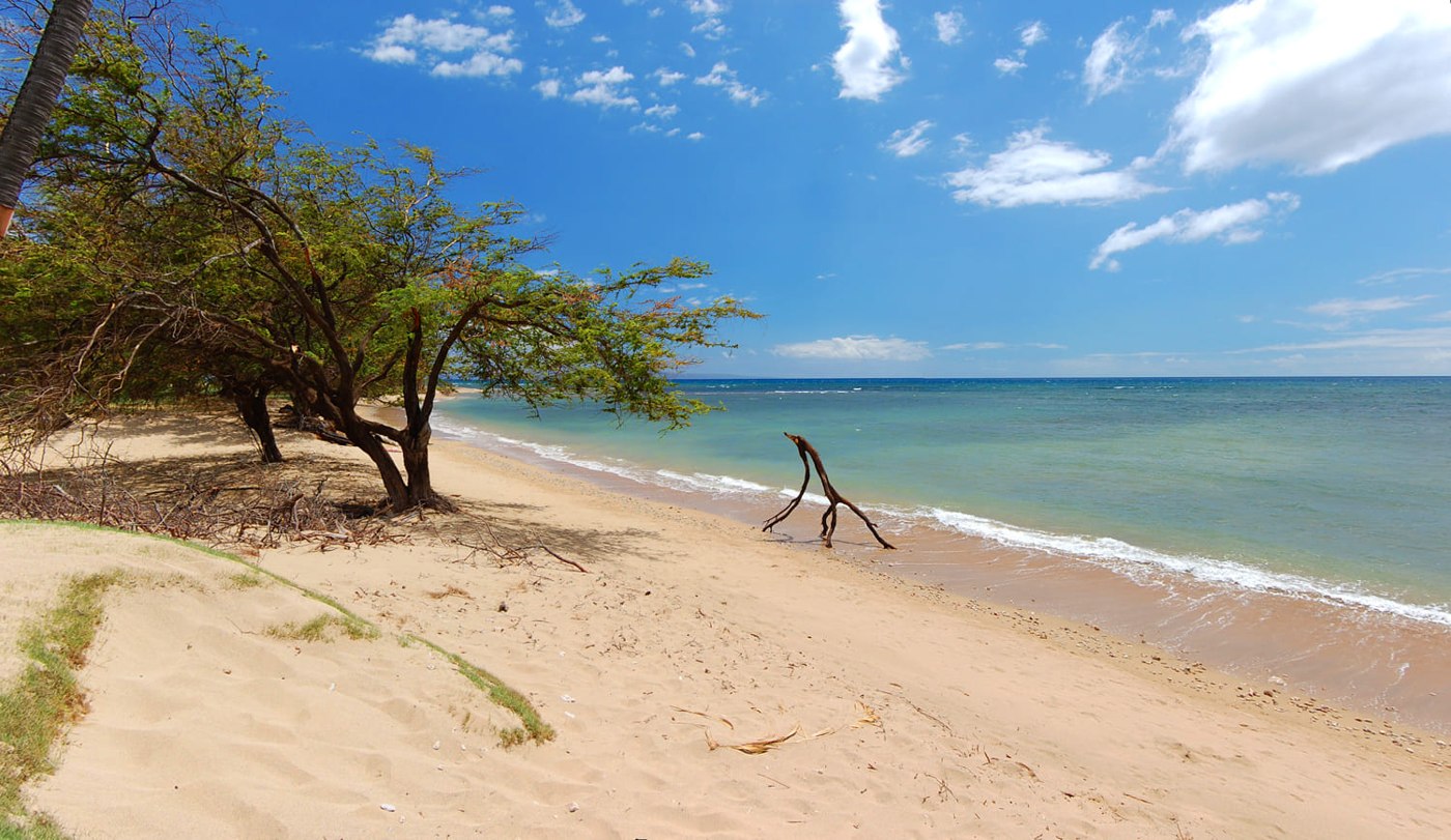 Waipuilani Beach — source photograph