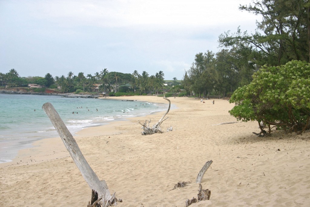 Pāʻia Bay, Maui