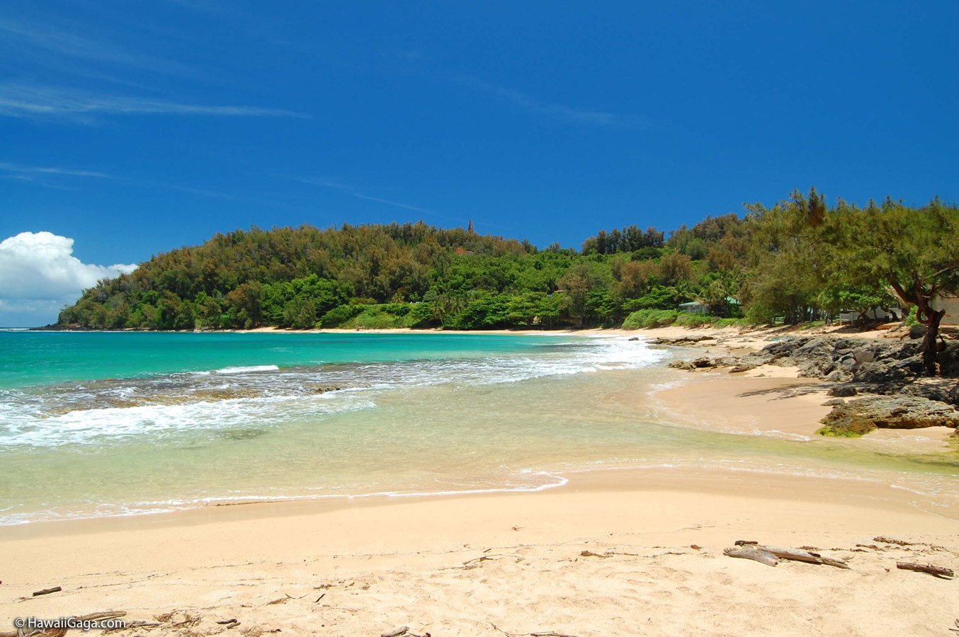 Moloaʻa Beach — source photograph
