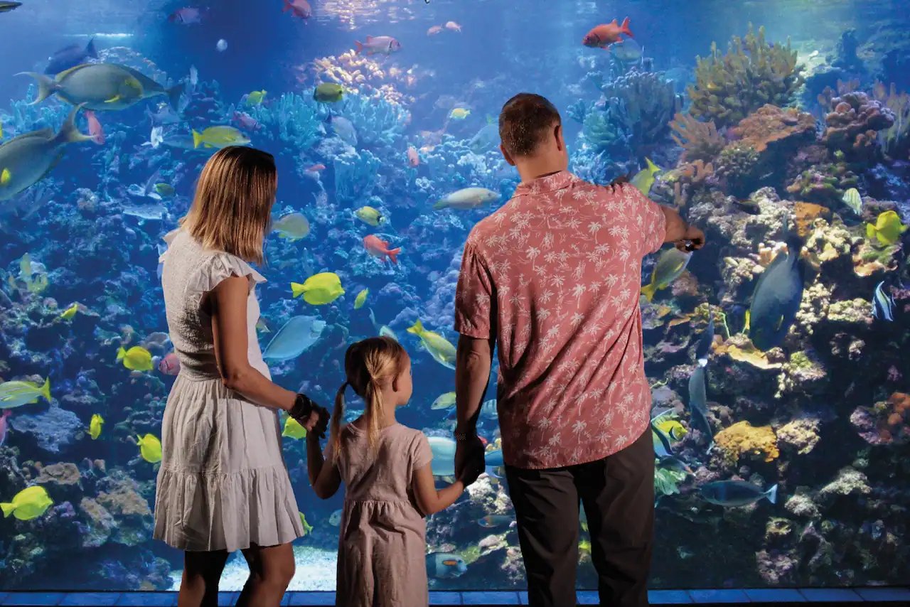 Visitors at Maui Ocean Center’s Living Reef exhibit.
