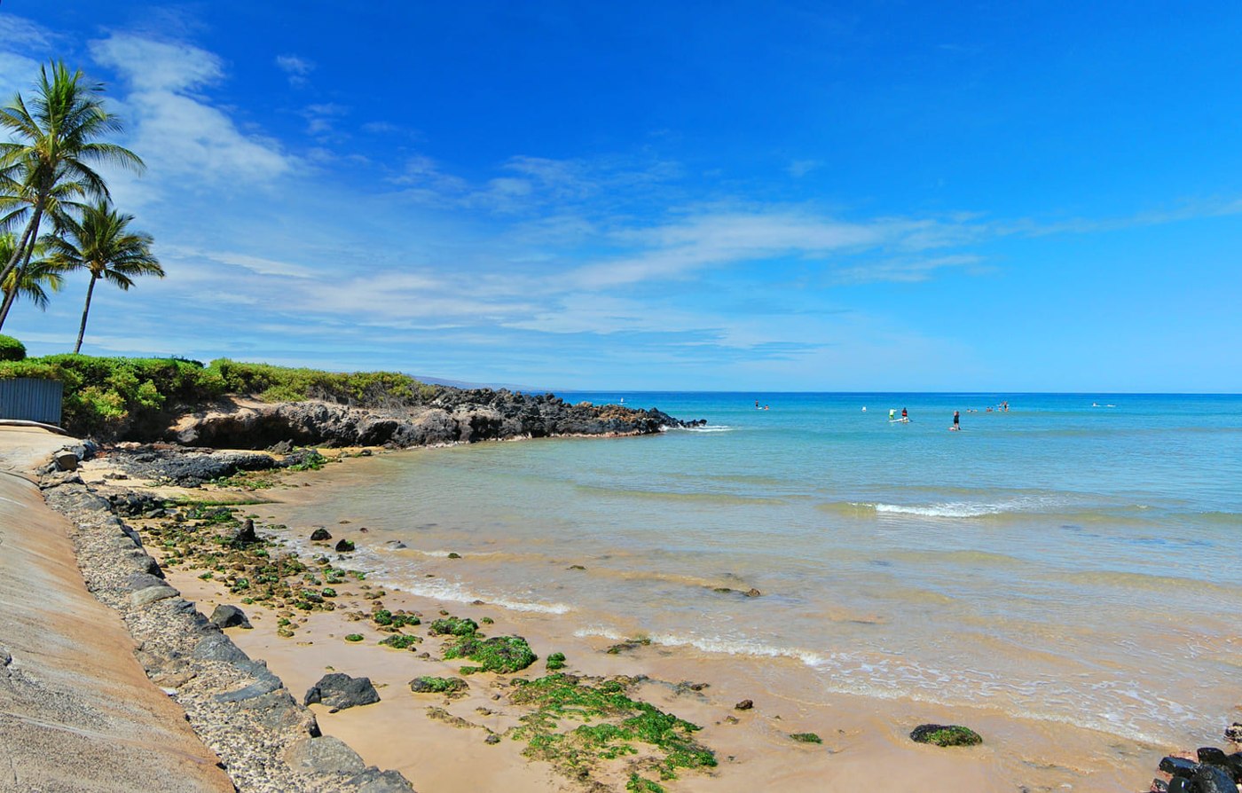 Cove Beach Park — source photograph