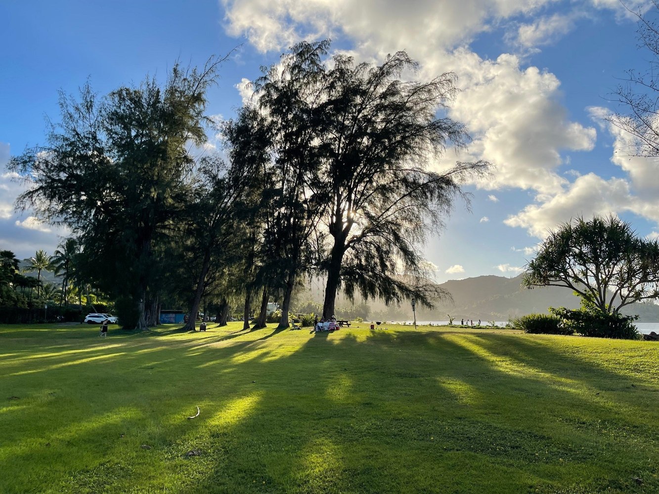 Lawn and trees at Waiʻoli Beach Park (Pine Trees), Hanalei