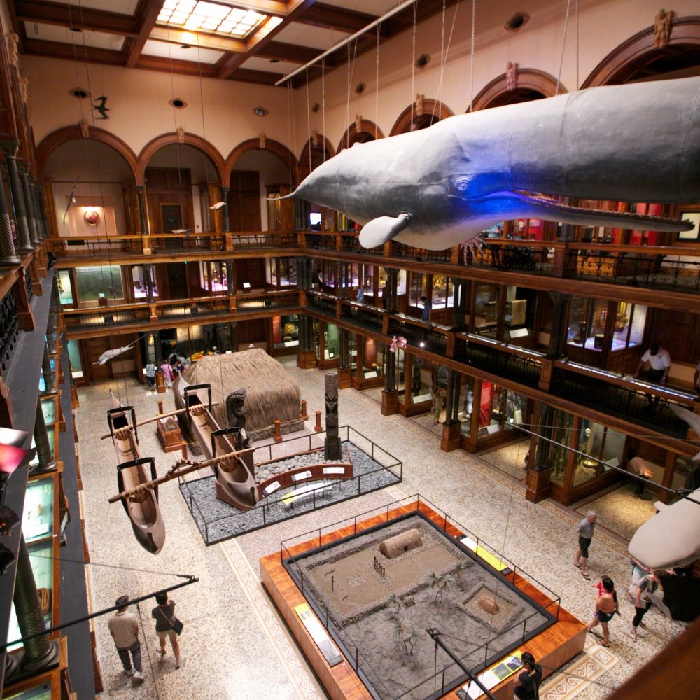 Hawaiian Hall at Bishop Museum