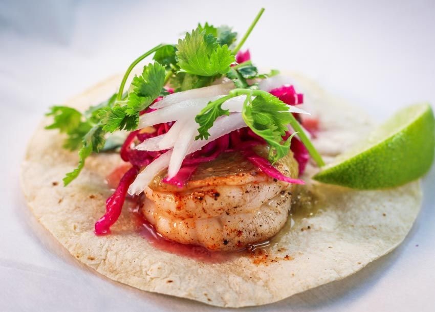 Seafood taco — Haleiwa Seafood official food photograph