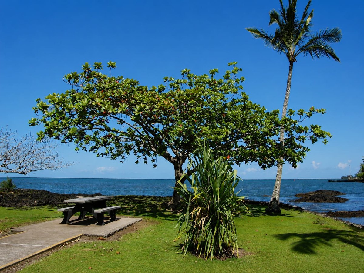 Coconut Island / Moku Ola — source photograph
