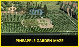 Pineapple Garden Maze at Dole Plantation.