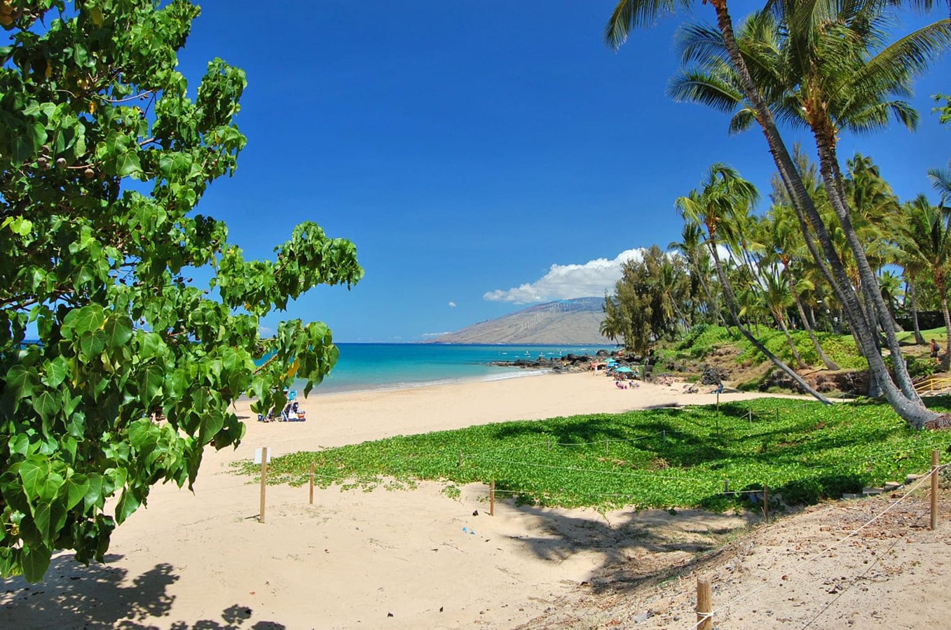 Charley Young Beach — source photograph