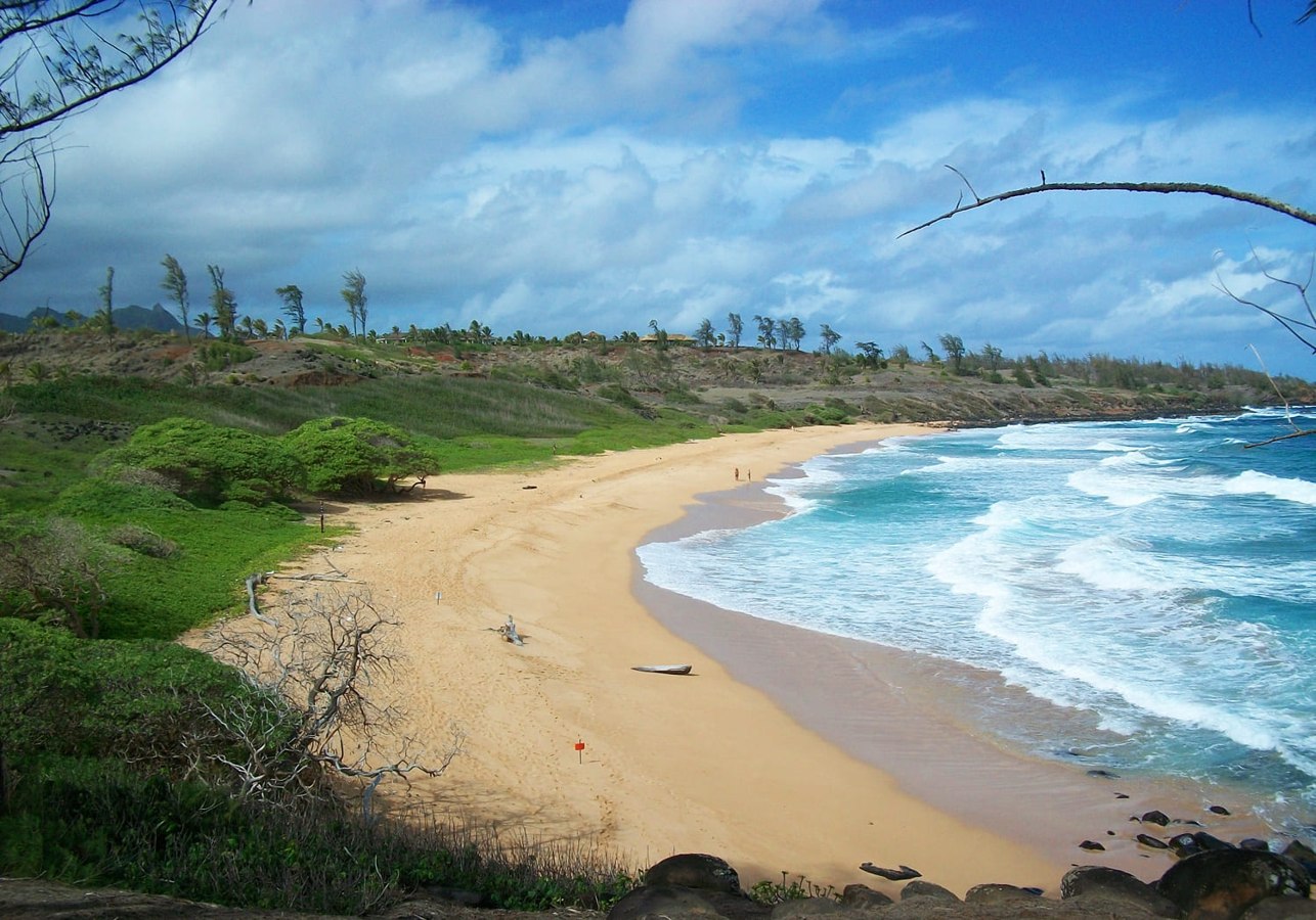 Donkey Beach / Palikū — source photograph
