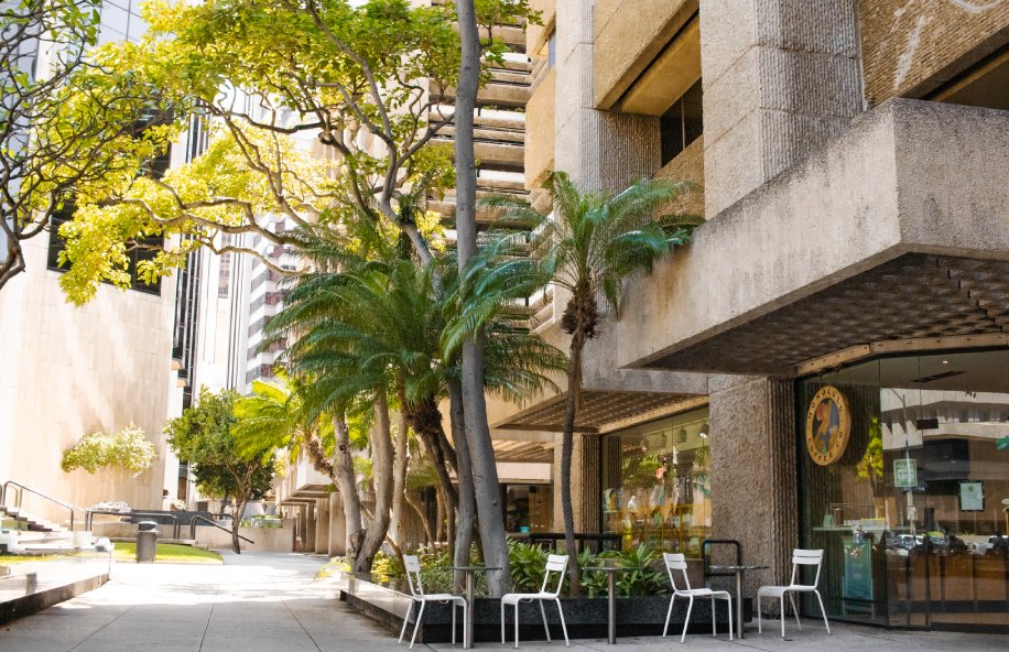 Honolulu Coffee — Bishop Downtown; official location photograph